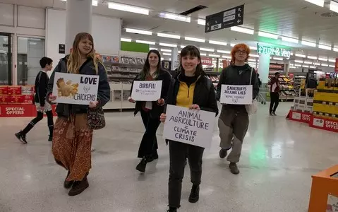 Animal Justice activists stage supermarket egg aisle sit-ins