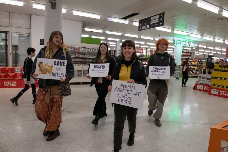 UK: Działacze na rzecz praw zwierząt protestowali w supermarketach przeciw złemu traktowaniu kur