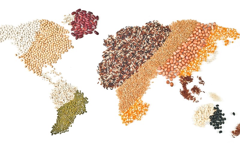 Report: Global food security has deteriorated significantly