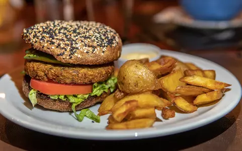 Netherlands: Two-thirds of veggie burgers are unhealthy due to too much salt