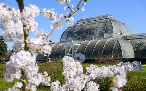 Kew Gardens: TfL customers can save money on tickets this spring