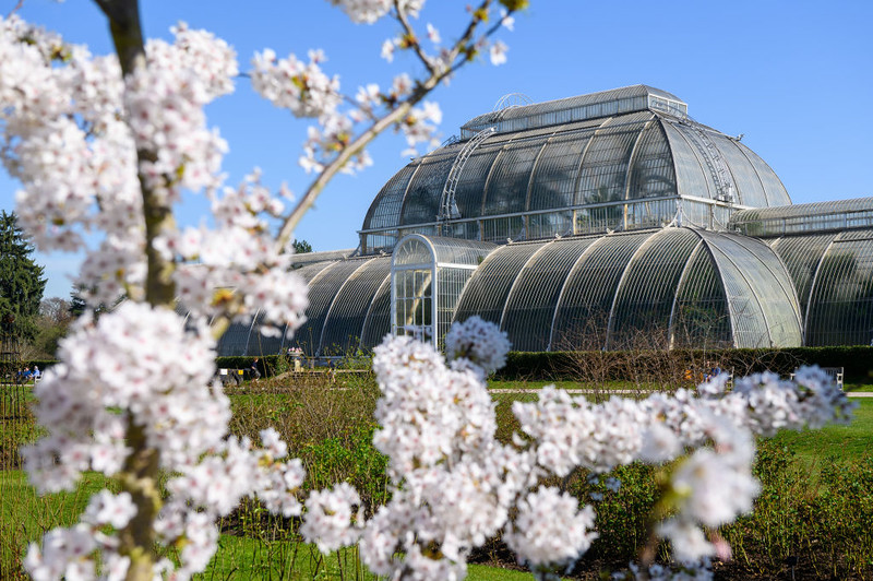 Kew Gardens: TfL customers can save money on tickets this spring