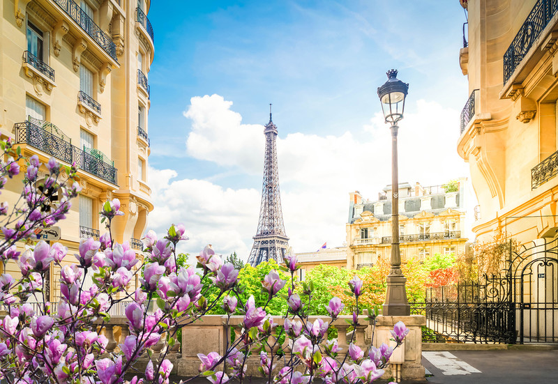 Paris is most visited by solo travelers