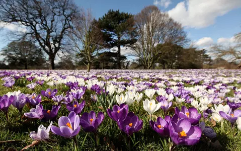 Latest BBC forecast show temperatures jumping up 11C in just a matter of days