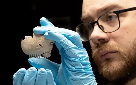 Hair comb made from part of a human skull unearthed in England