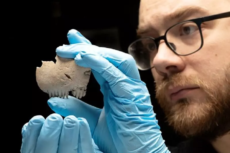 W Anglii znaleziono grzebień z ludzkiej czaszki