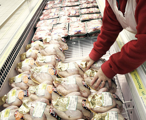 Dwa na trzy kurczaki w brytyjskich supermarketach "zainfekowane E.coli"