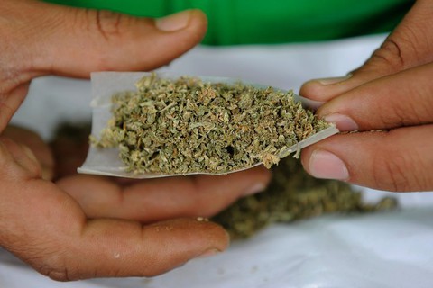 Członkowie brytyjskiego parlamentu wzywają do legalizacji marihuany