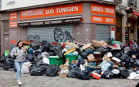 Paris: Environmentalists in favor of "peaceful coexistence" with rats that have proliferated in garb