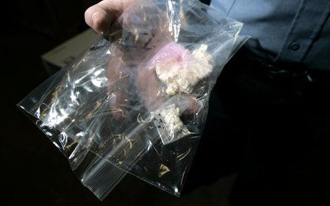 Police raid mobile amphetamine factory in Poland