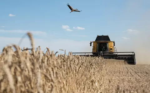 The Spectator: Ukraine grain dispute 'proves how much EU misunderstands Eastern Europe'