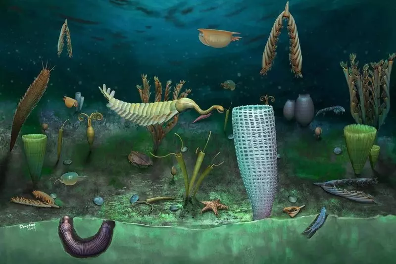Walia: Życie morskie sprzed 462 milionów lat odnalezione w skamieniałościach