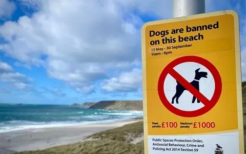 Dog beach bans comes into force across the UK