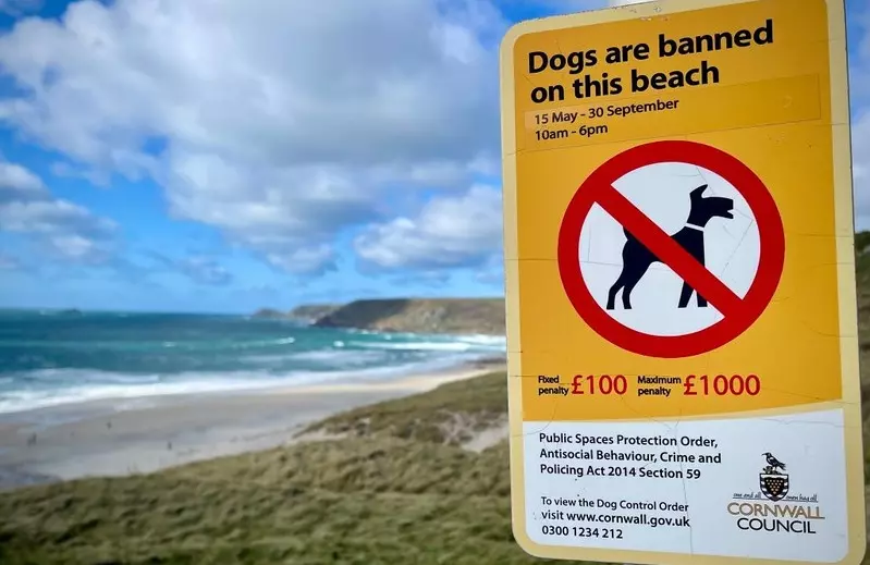 W UK wszedł w życie zakaz wyprowadzania psów na plażach