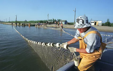 Japan: Record seafood imports from Russia in 2022