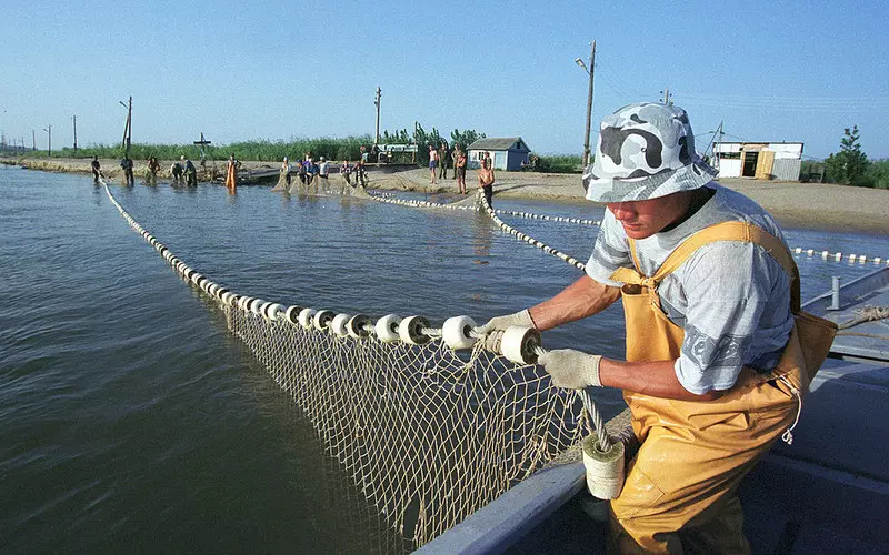 Japan: Record seafood imports from Russia in 2022