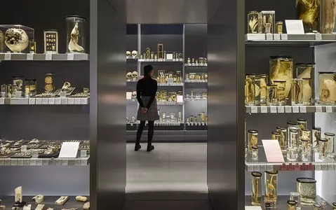 London: The famous anatomy museum has reopened