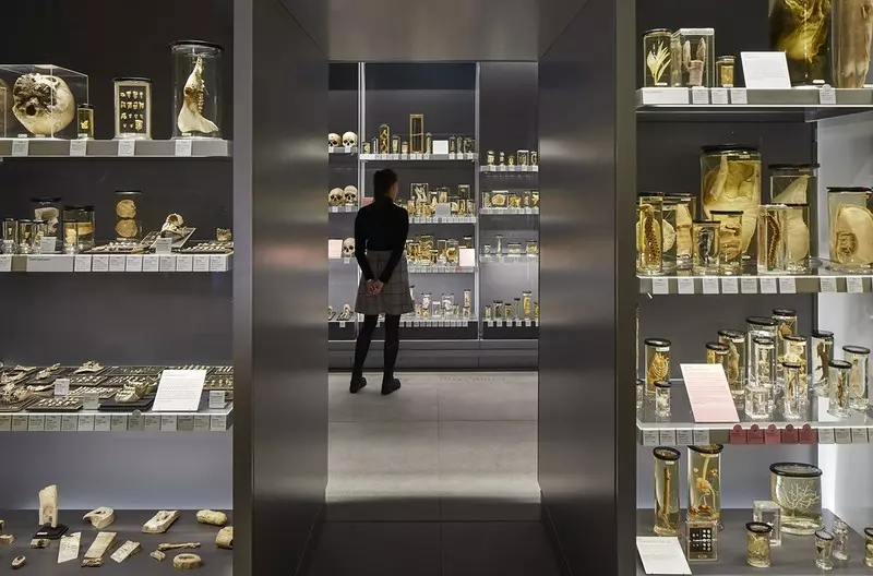 Londyn: Ponownie otwarto słynne muzeum anatomii