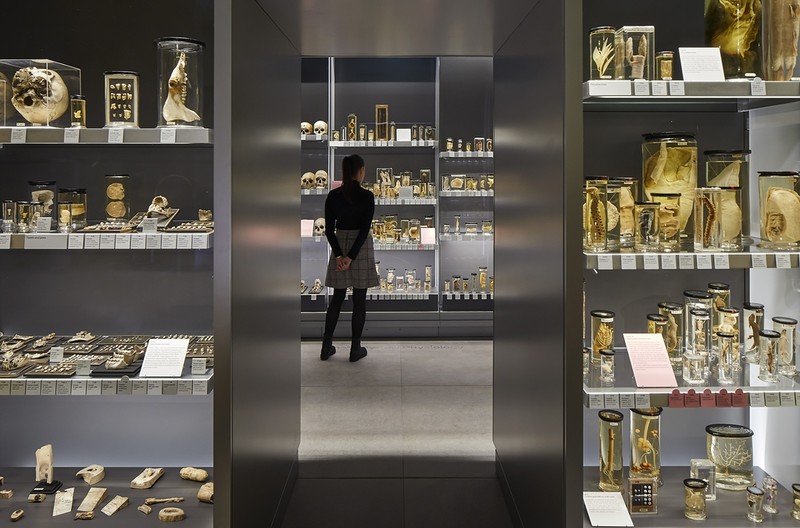 London: The famous anatomy museum has reopened