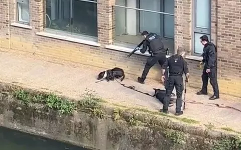 One million sign petition over Met shooting of dogs in east London