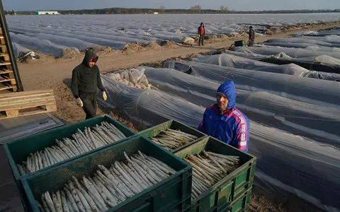 Oxfam report on seasonal working conditions in German agriculture. "This is not Europe"