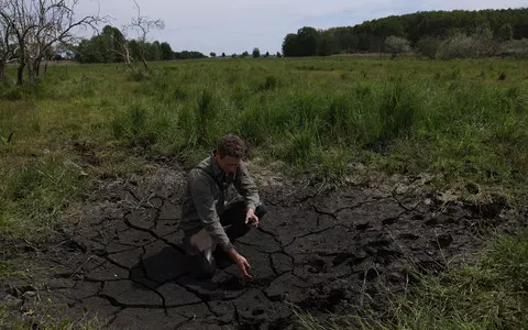 Germany: The beginning of the heatwave. Country is plunged into drought