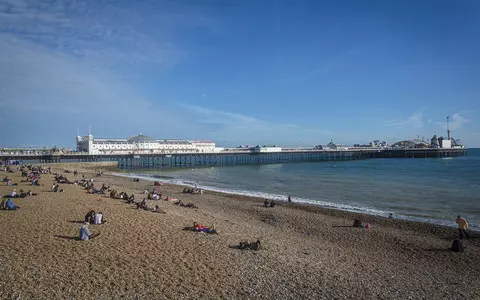 New spider species is discovered on Brighton beach