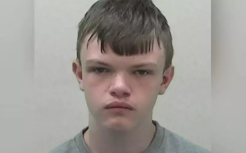 15-latek, który śmiertelnie pchnął nożem 14-latka z Polski skazany na minimum 12 lat