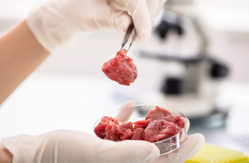 W USA można będzie sprzedawać mięso wyhodowane w laboratoriach