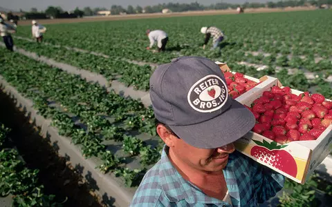 Migrant fruit-pickers are skilled workers, says ex-minister George Eustice