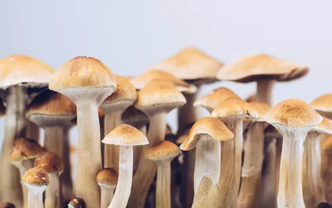 Australia is the first country to legalize medical psychedelics