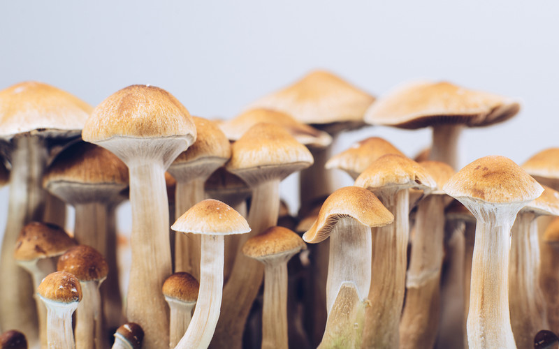 Australia is the first country to legalize medical psychedelics