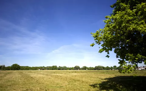 Wimbledon Common named London park with lowest pollen count