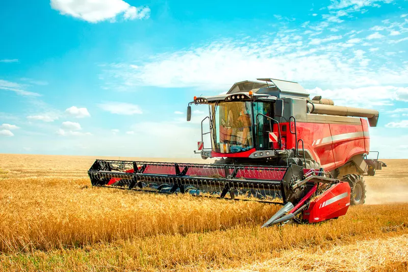 "Financial Times": Russia pushes plan to supply grain to Africa and cut out Ukraine