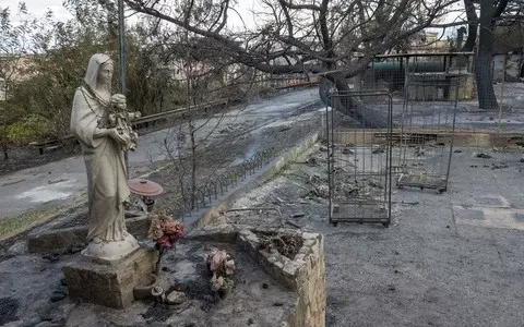 Italy: Hundreds of millions of euros in fire damage in Sicily, Calabria and Puglia