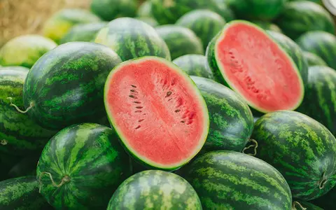 Russian scientists have grown watermelons in Antarctica