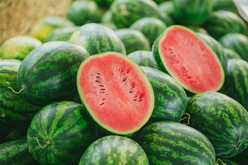 Russian scientists have grown watermelons in Antarctica