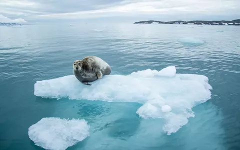 Spain: A 15-ton lump of ice was brought back from the Arctic for climate change awareness