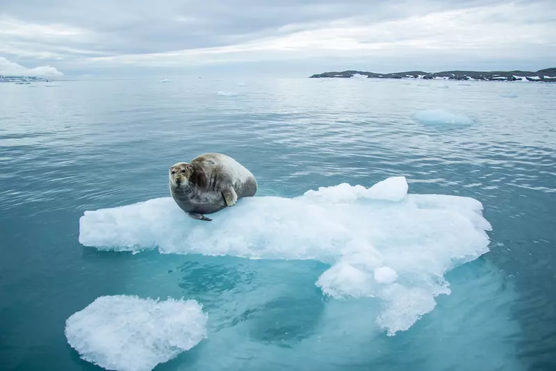 Hiszpania: Z Arktyki przywieziono 15-tonowa bryłę lodu dla uświadomienia zmian klimatu