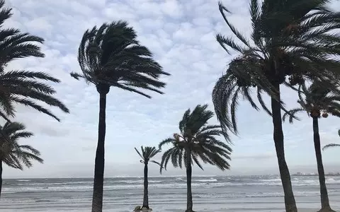 Majorca blasted by hurricane-force winds of 75mph. Terrifying storm rips into Spain