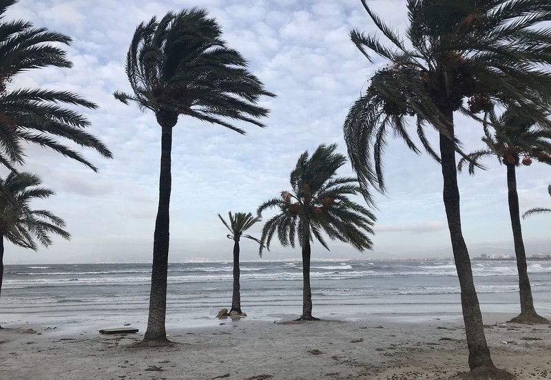 Majorca blasted by hurricane-force winds of 75mph. Terrifying storm rips into Spain