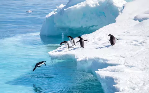 Heat waves are hitting Antarctica too now