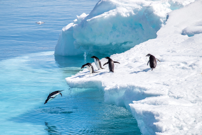 Heat waves are hitting Antarctica too now