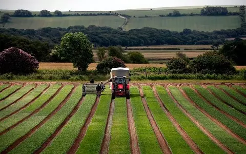 UK fails to ban 36 harmful pesticides outlawed for use in EU 