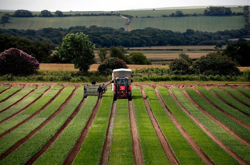 UK fails to ban 36 harmful pesticides outlawed for use in EU 