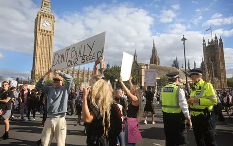 Hundreds descend on London to protest against Rishi Sunak’s ban on XL bully dogs