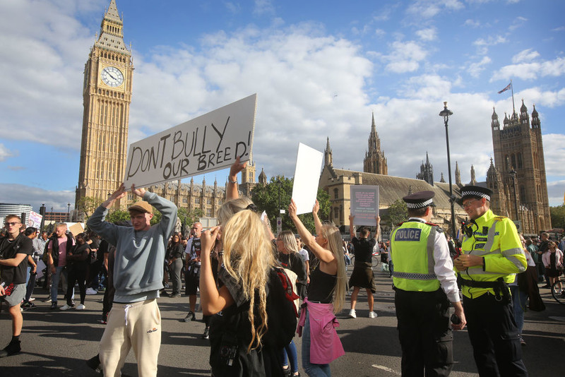 Hundreds descend on London to protest against Rishi Sunak’s ban on XL bully dogs