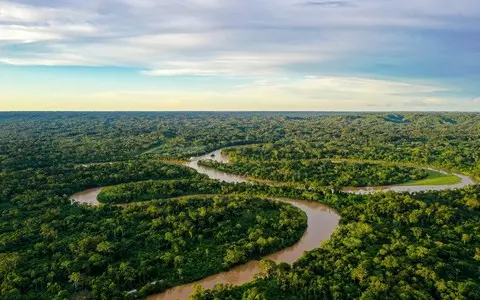 Drought disaster in the Amazon. Water level one of the lowest in histor