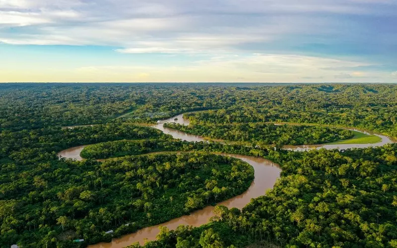 Klęska suszy w Amazonii. Poziom wód jednym z najniższych w historii