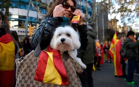 Spain: The Animal Welfare Act has entered into force. Fines up to PLN 200,000. euro